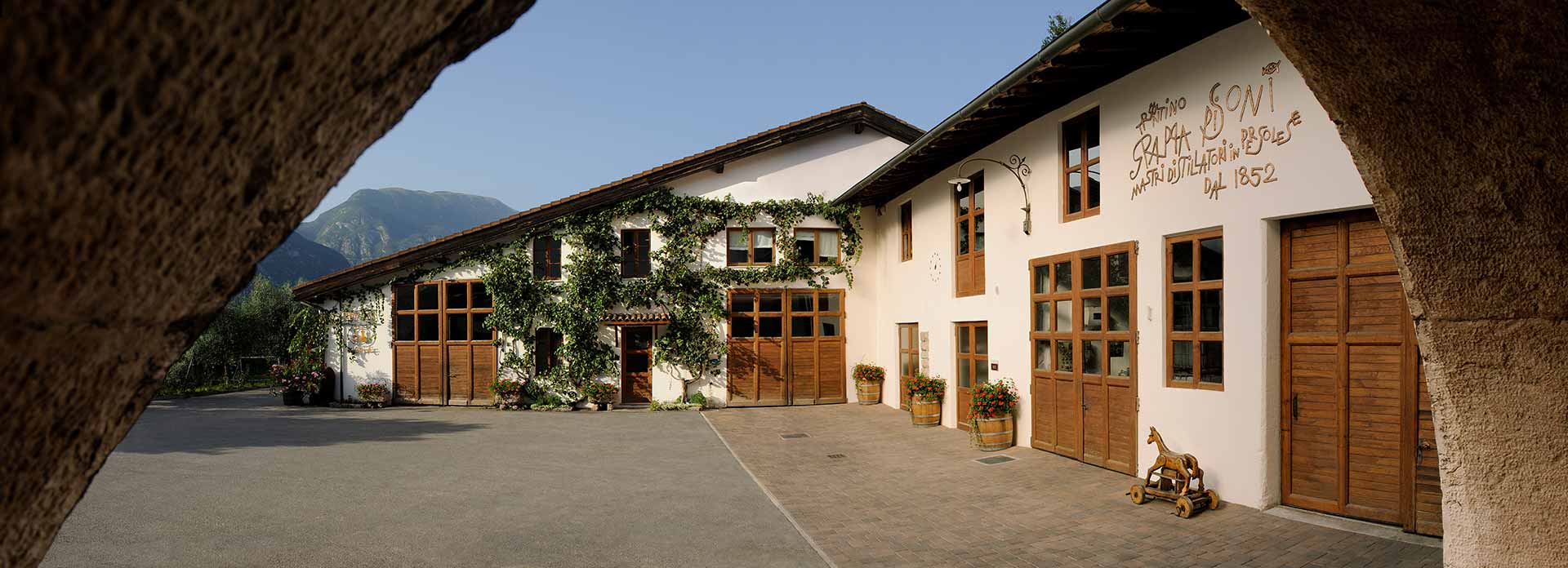 Cantina distilleria Pisoni