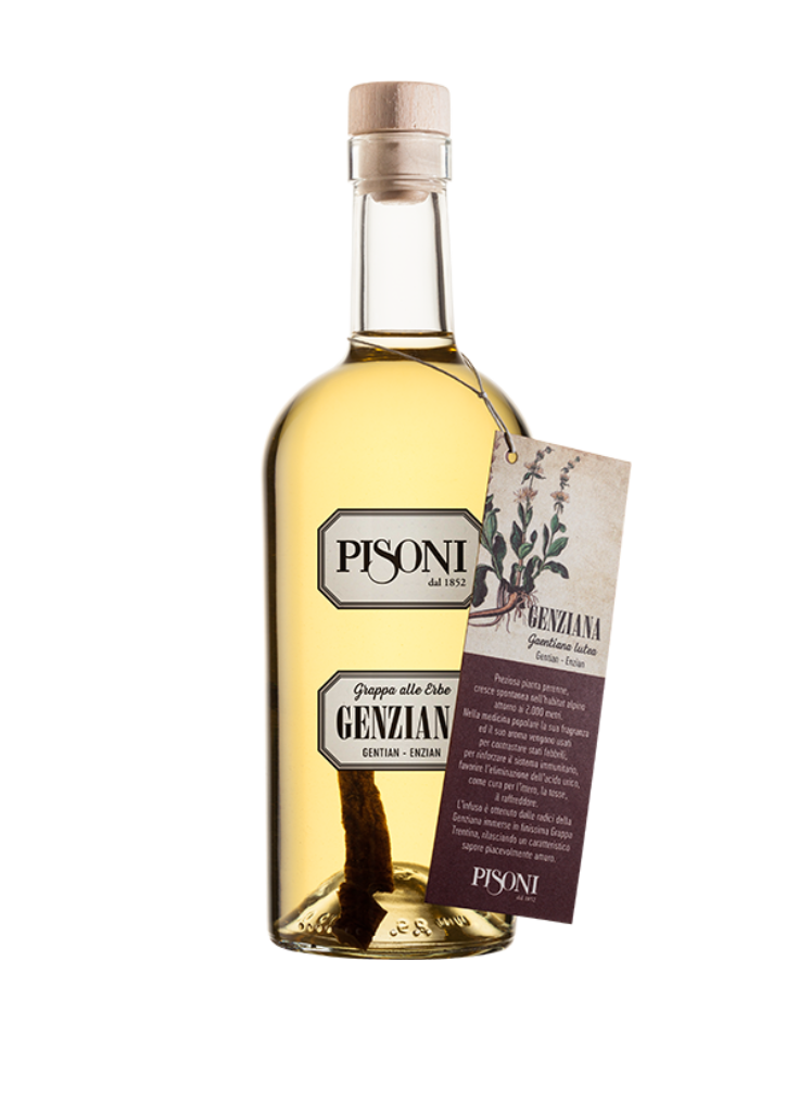 grappa genziana