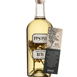grappa ruta