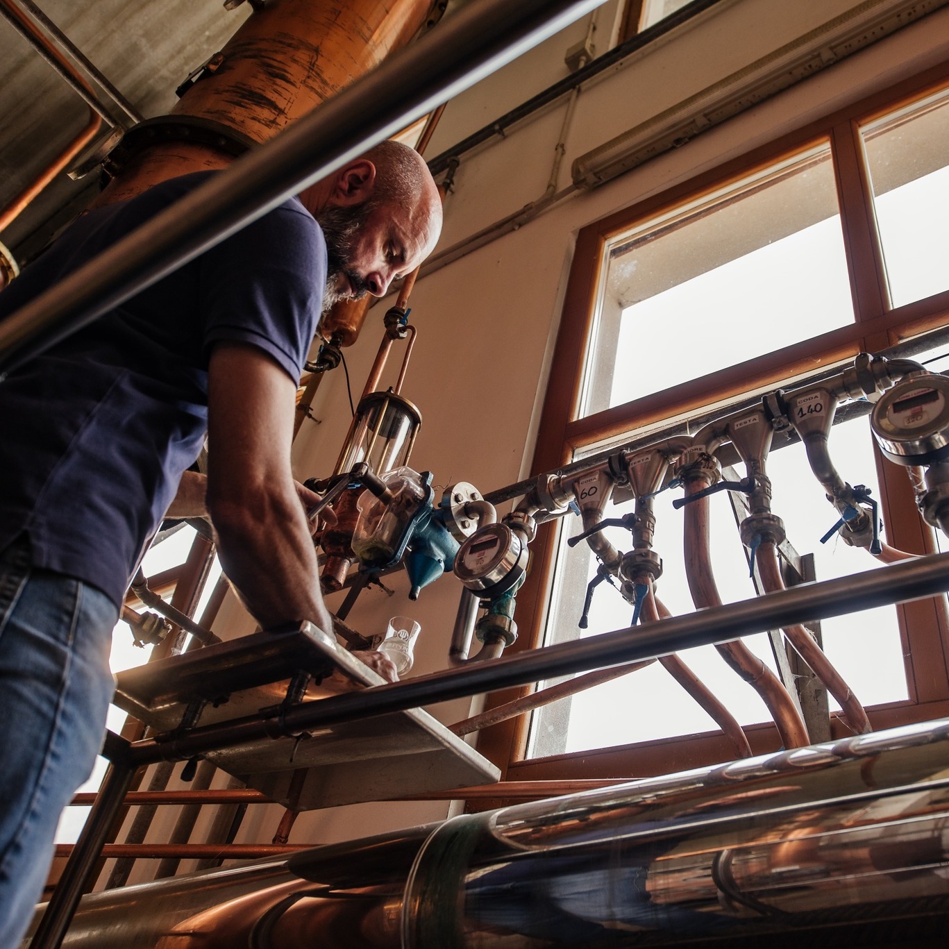 distilleria pisoni grappa