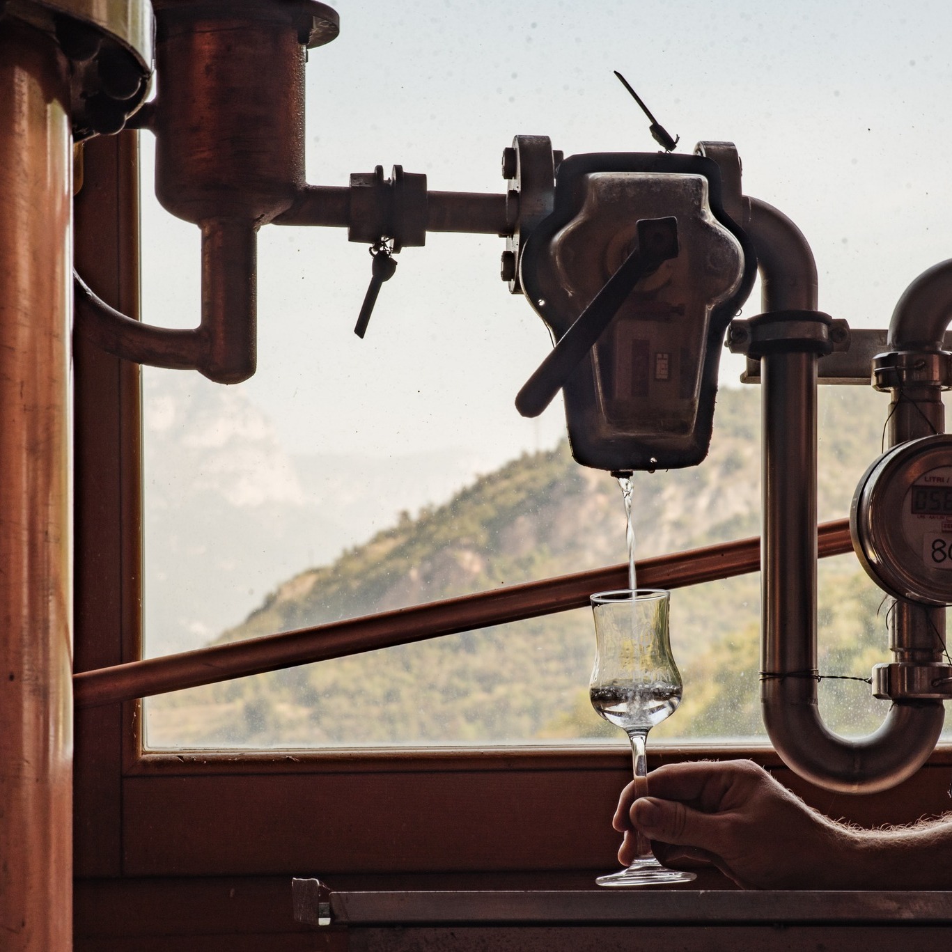 distilleria pisoni produzione grappa
