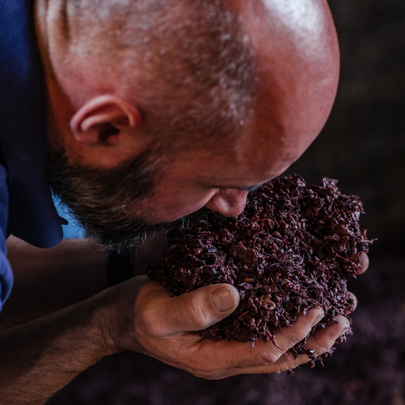 distilleria pisoni vinacce